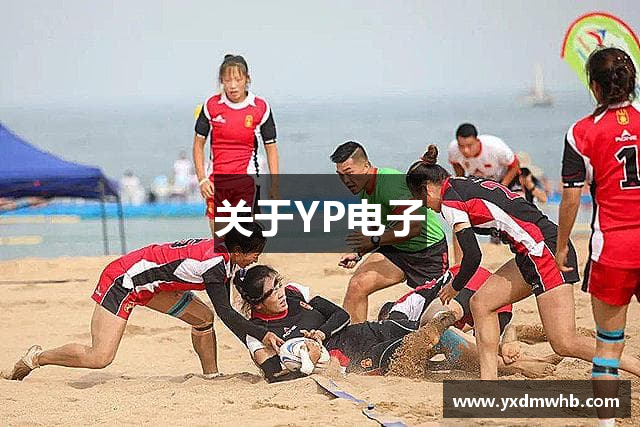 关于YP电子